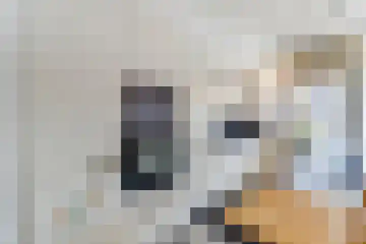 Marslaan 24 Helmond thumbnail 8