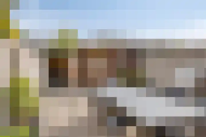 Marslaan 64 Helmond thumbnail 28