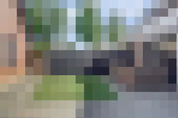 Marssingel 12 Grave thumbnail 36