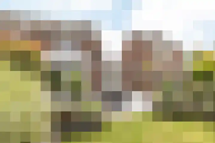 Marsstraat 11 Sittard thumbnail 29