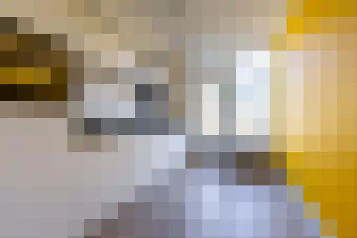 Marsstraat 127 Groningen thumbnail 9