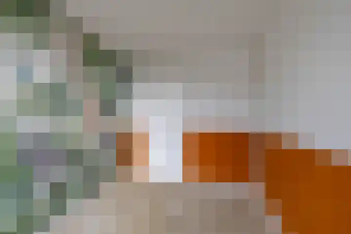 Marsstraat 141 Groningen thumbnail 23