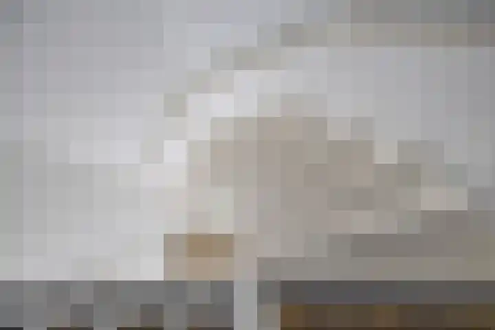 Marsstraat 141 Groningen thumbnail 33