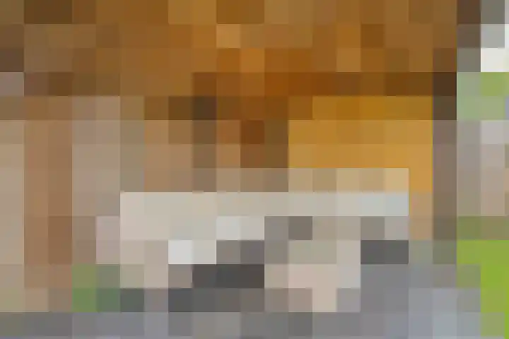 Marsstraat 44 De Krim thumbnail 31