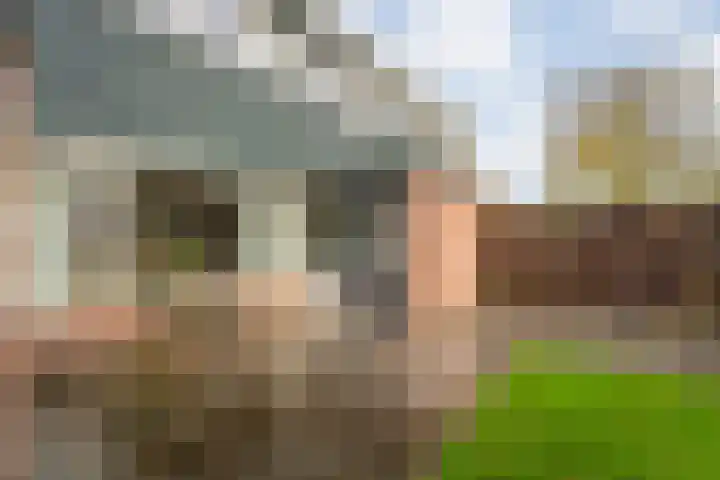 Marsstraat 44 De Krim thumbnail 34