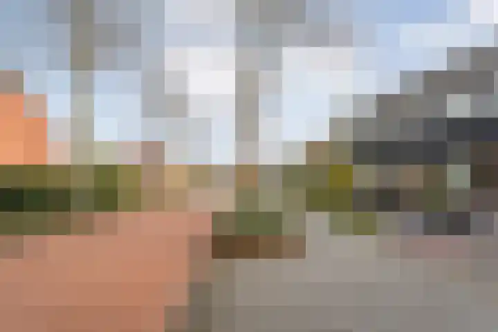 Marsstraat 44 De Krim thumbnail 37
