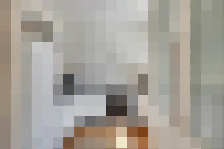 Marsstraat 66 Sittard thumbnail 12