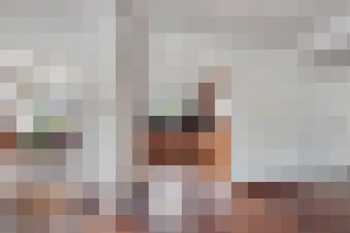 Marsweg 17 Didam thumbnail 10