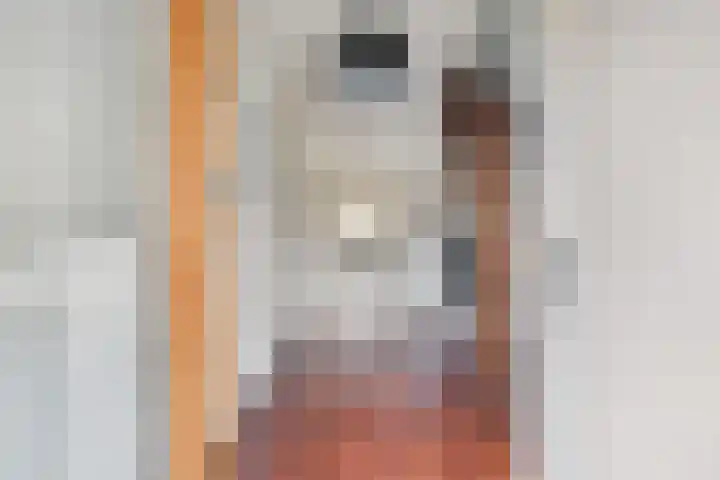 Marsweg 17 Didam thumbnail 20