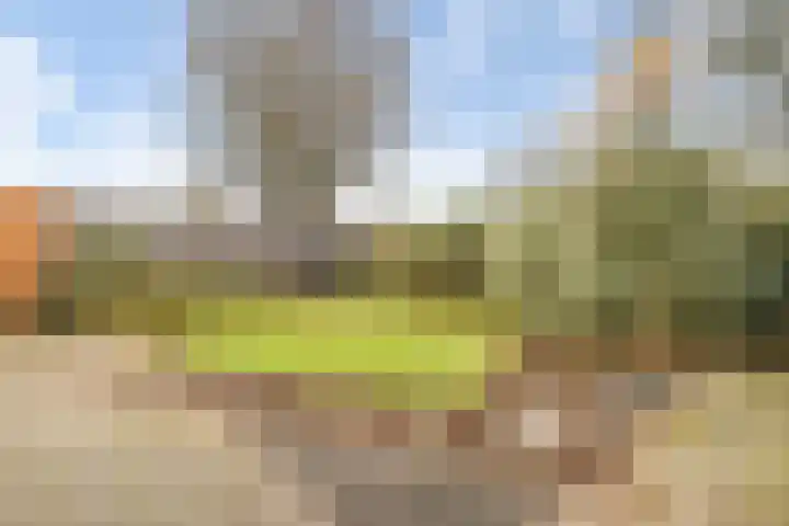 Marsweg 17 Didam foto 3