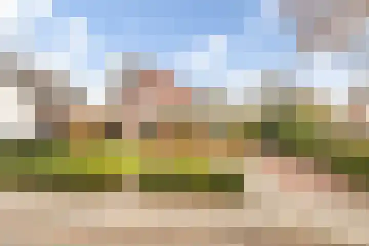 Marsweg 17 Didam thumbnail 33