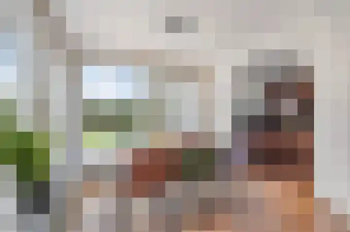 Marsweg 17 Didam thumbnail 9