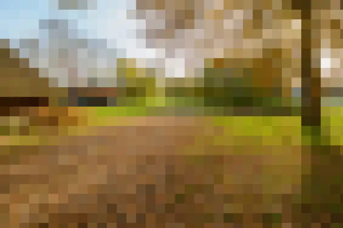 Marsweg 2 Lemele thumbnail 17