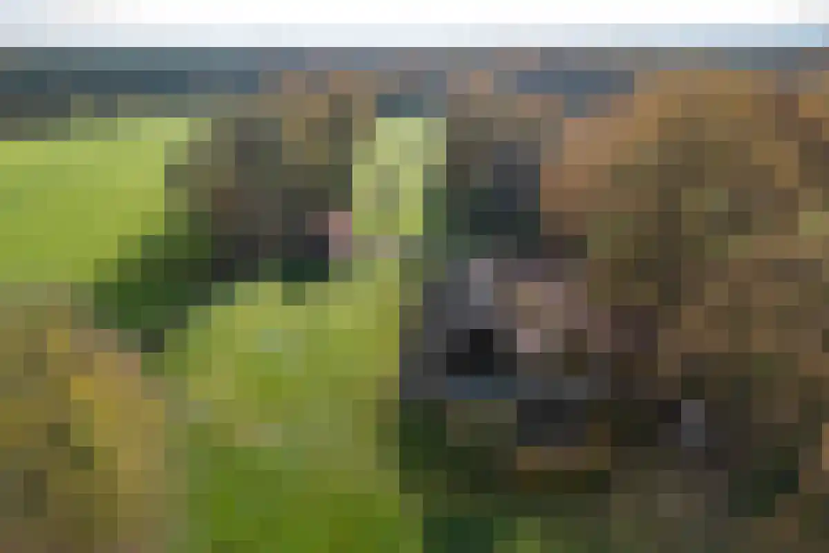 Marsweg 2 Lemele thumbnail 5