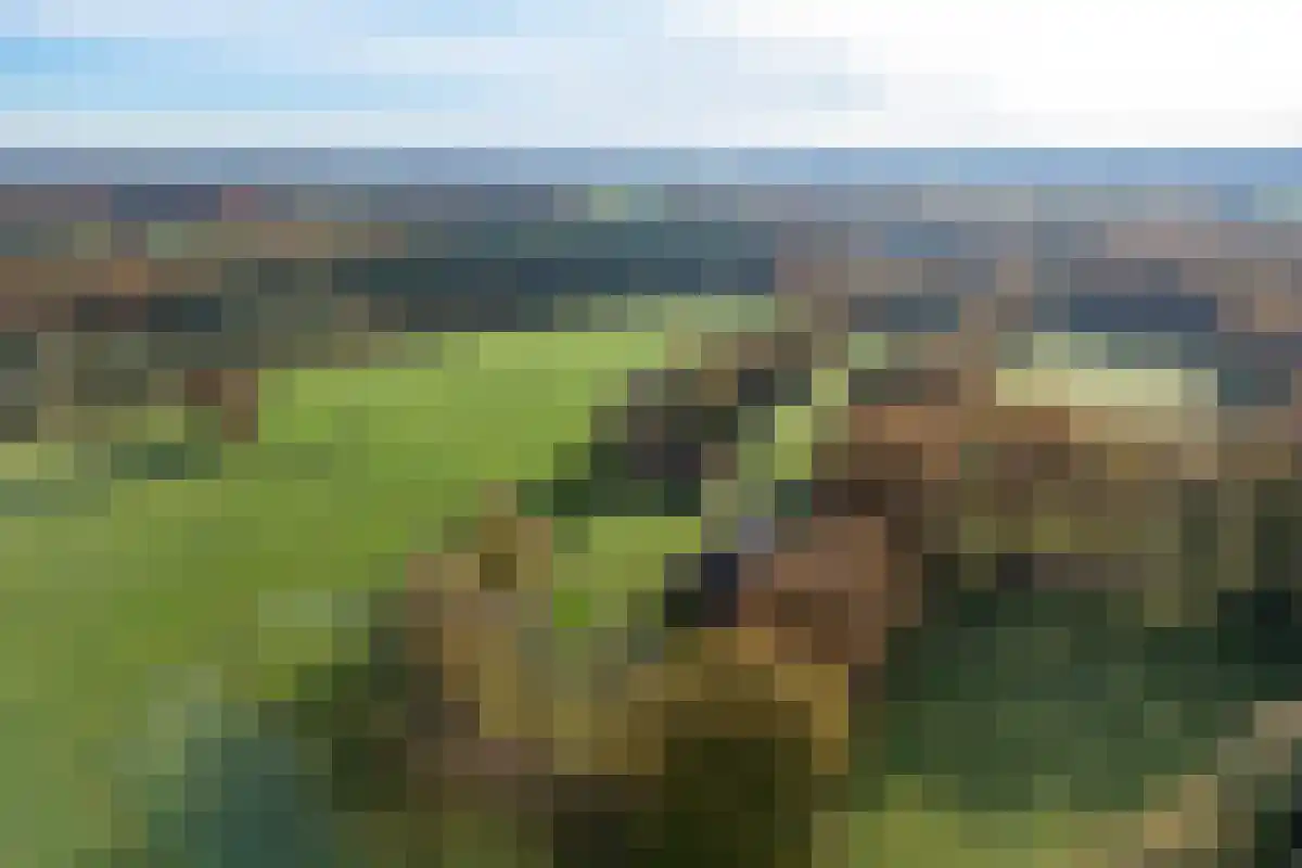 Marsweg 2 Lemele thumbnail 6