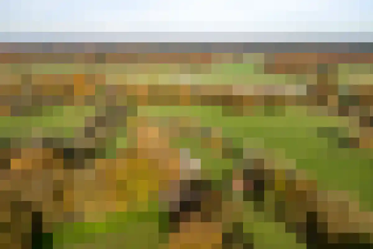 Marsweg 2 Lemele thumbnail 7