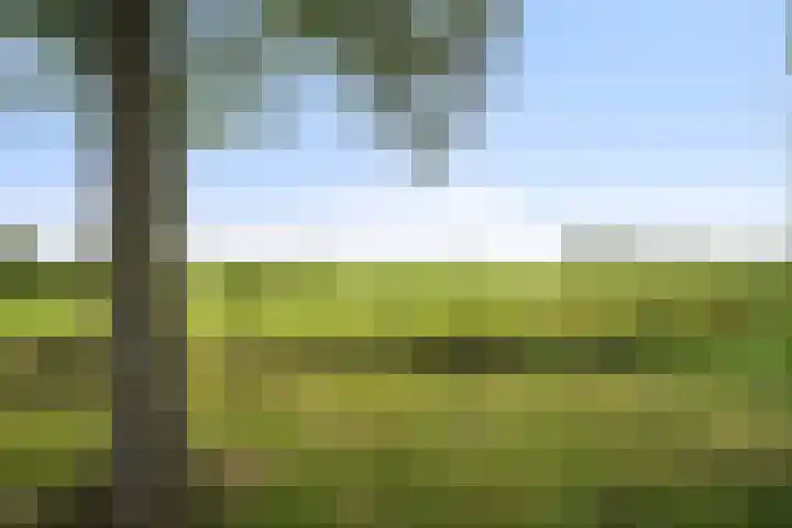 Martekrogt 37 Den Oever thumbnail 27