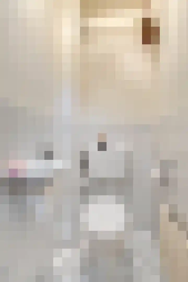 Marterhof 24 Silvolde thumbnail 18
