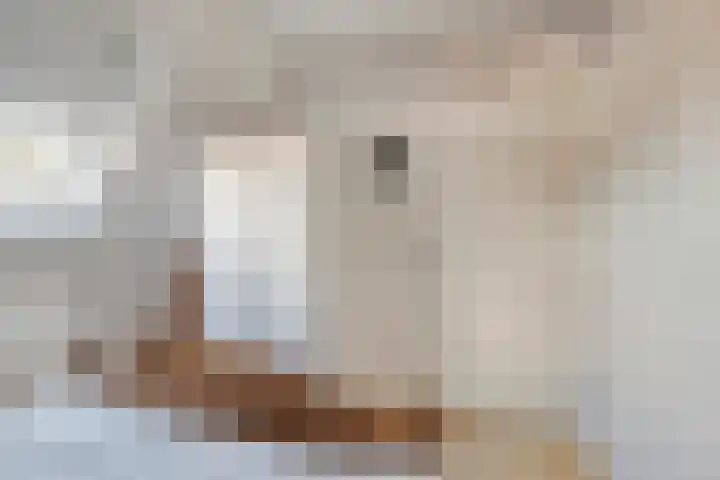 Marterhof 24 Silvolde thumbnail 24