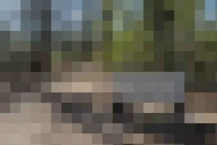Marterlaan 1 Den Dolder thumbnail 39