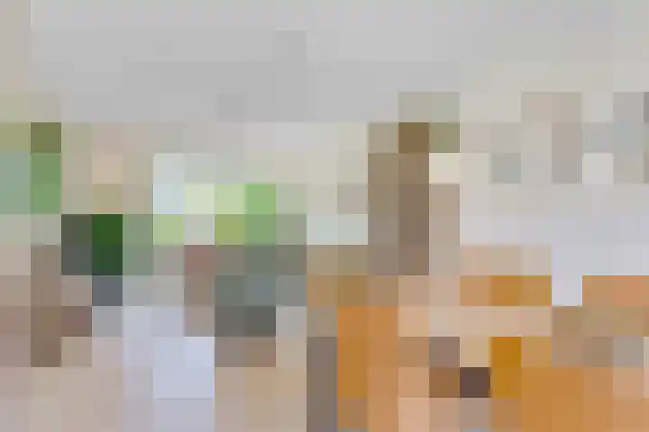 Marterlaan 3 Den Dolder thumbnail 9