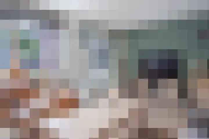 Marterslag 3 Assen thumbnail 17