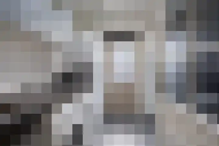Marterslag 3 Assen thumbnail 22