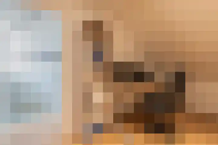 Marterslag 3 Assen thumbnail 35