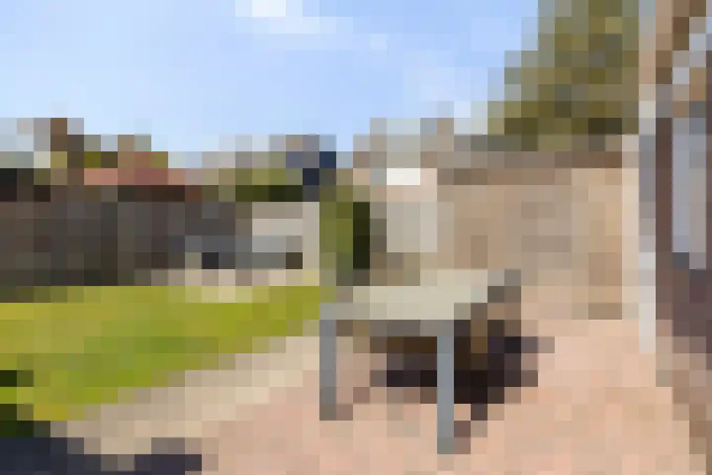 Marterweide 1 Veghel thumbnail 31