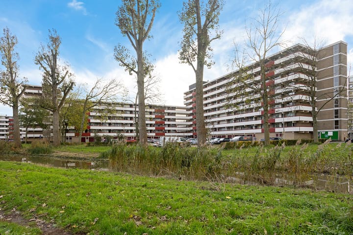 Martin Luther Kinglaan 460 in Diemen foto