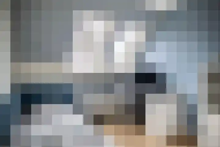 Martin Luther Kingstate 31 Ede thumbnail 24