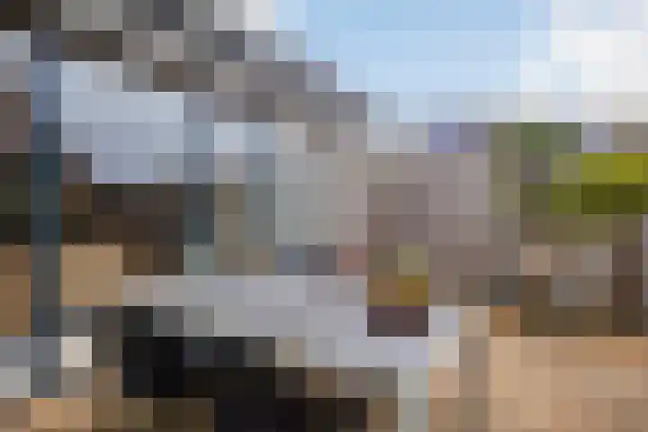 Martin Luther Kingstate 31 Ede thumbnail 37