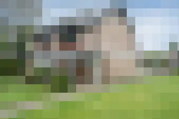 Foto van Martin van der Hoek, RM RT, NVM makelaar en vestigingsmanager