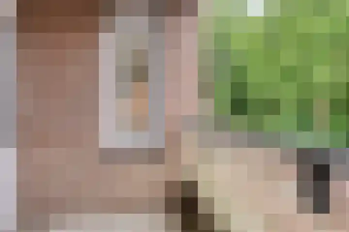 Martinetsingel 32 Zutphen thumbnail 17