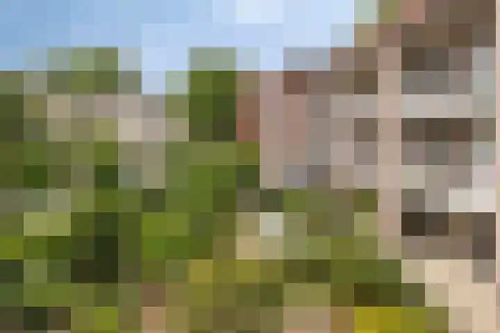 Martinetsingel 32 Zutphen thumbnail 21