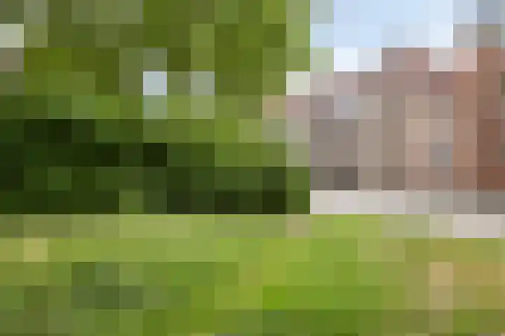 Martinetsingel 32 Zutphen thumbnail 24
