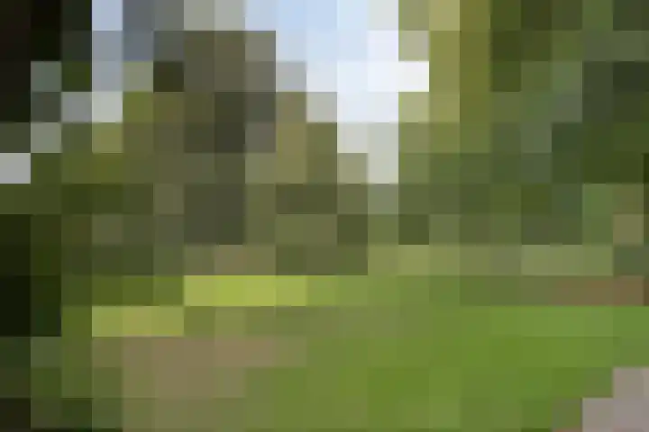 Martinetsingel 32 Zutphen thumbnail 26