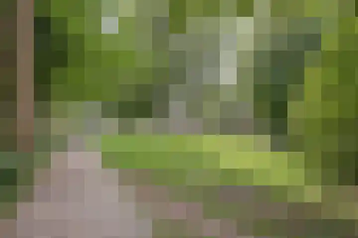 Martinetsingel 32 Zutphen thumbnail 27
