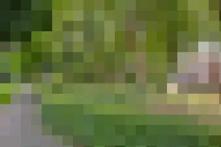 Martinetsingel 32 Zutphen thumbnail 28