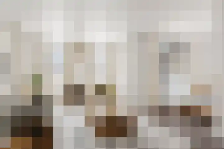 Martinetsingel 32 Zutphen thumbnail 7