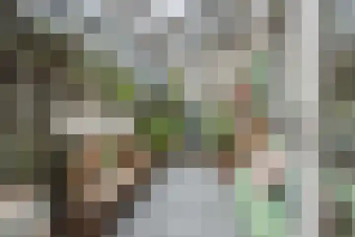 Martinilaan 31 Vught thumbnail 12