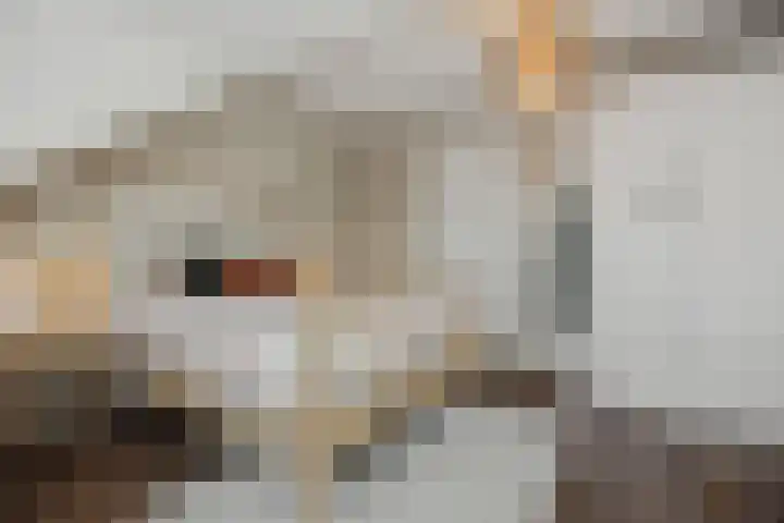 Martinilaan 31 Vught thumbnail 22