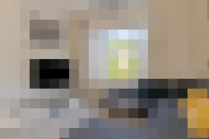 Martinitorenstraat 141 Tilburg thumbnail 19