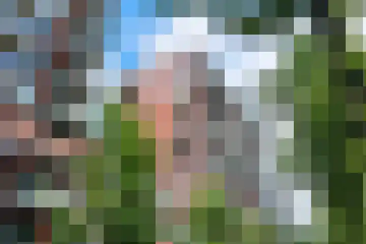 Martinus Nijhofflaan 176 Delft