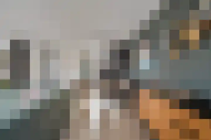 Martinus Nijhofflaan 51 Kloetinge thumbnail 11