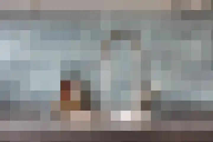 Martinus Nijhofflaan 51 Kloetinge thumbnail 15
