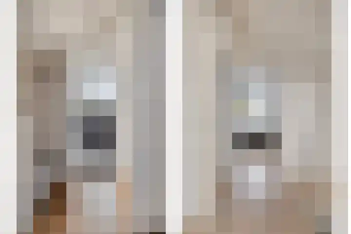 Martinus Nijhofflaan 51 Kloetinge thumbnail 16