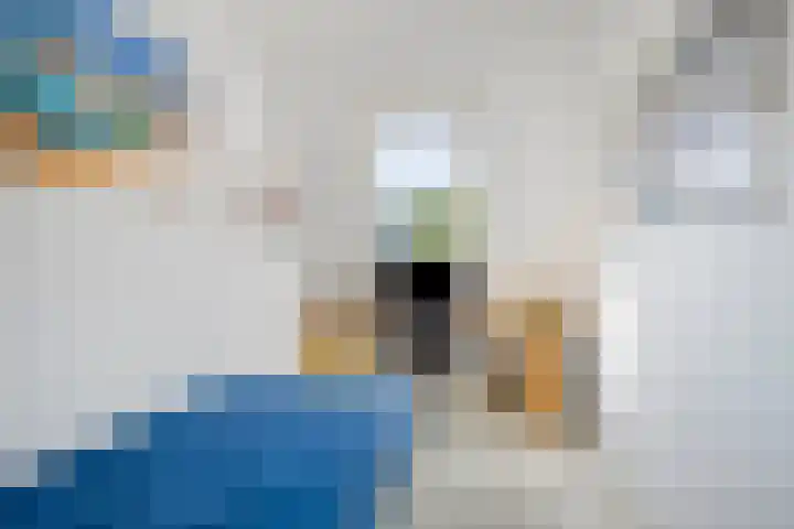 Martinus Nijhofflaan 77 Kloetinge thumbnail 27