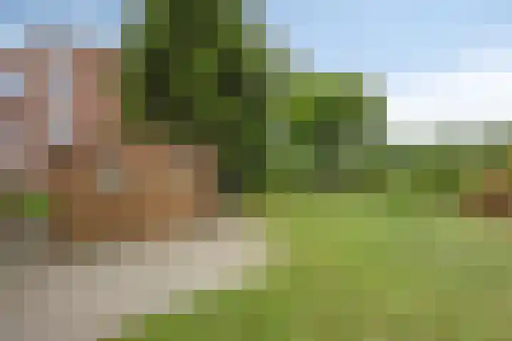 Martinushof 1 Born thumbnail 23