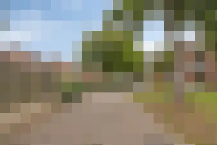 Martinushof 1 Born thumbnail 26